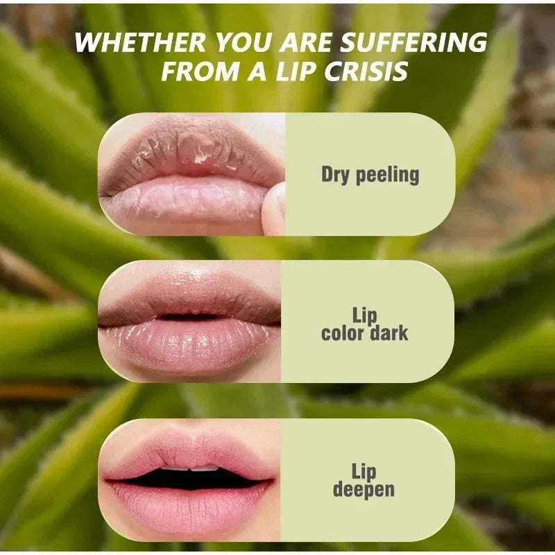 6Pcs Water Glow Jelly Moisturizing Lip Gloss Set Transparent Lip Glaze Oil Hydrating Lip Plumper Liquid Lipstick Lips Cosmetic